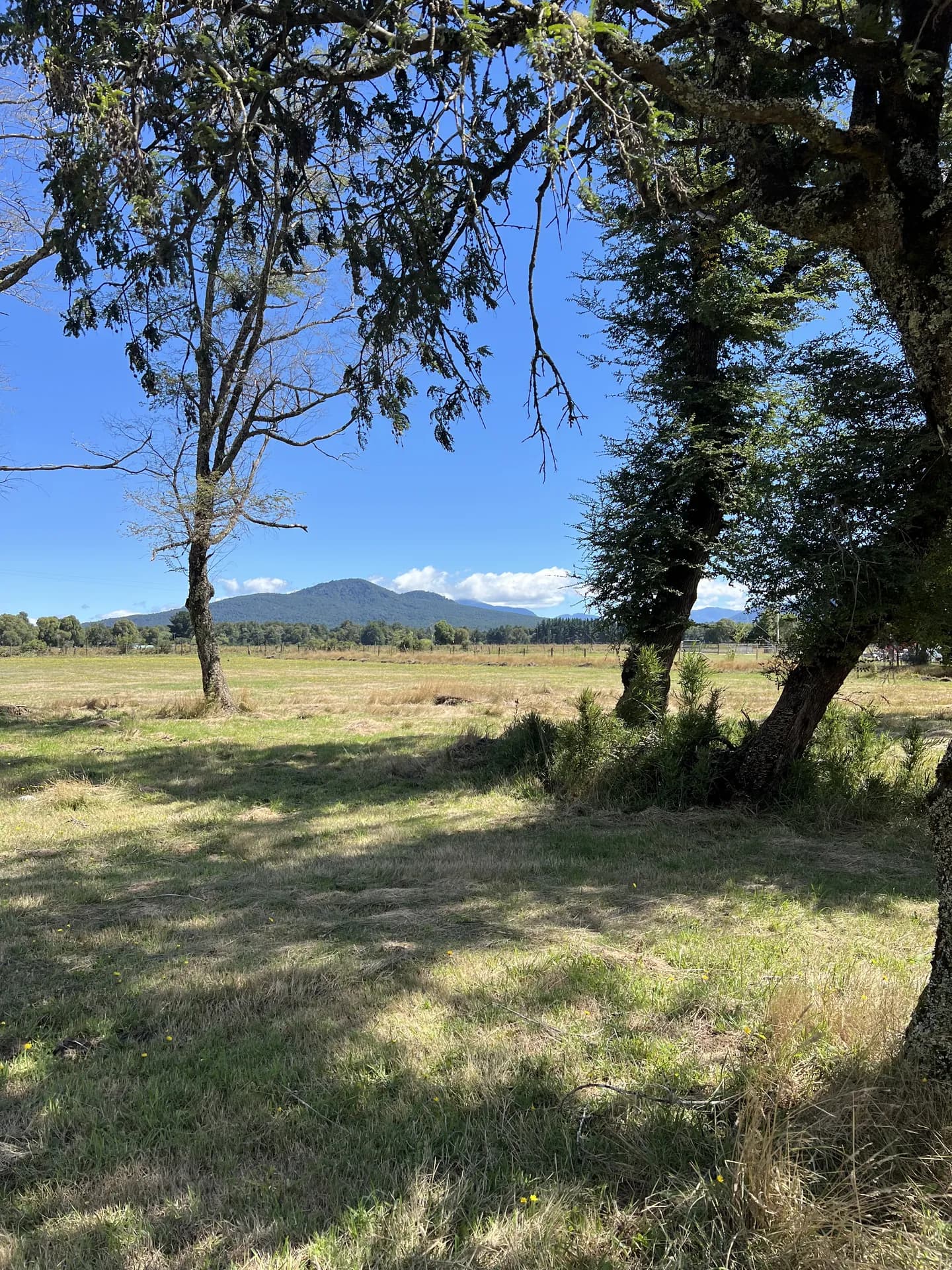Parcelas – Brisas de Pucón