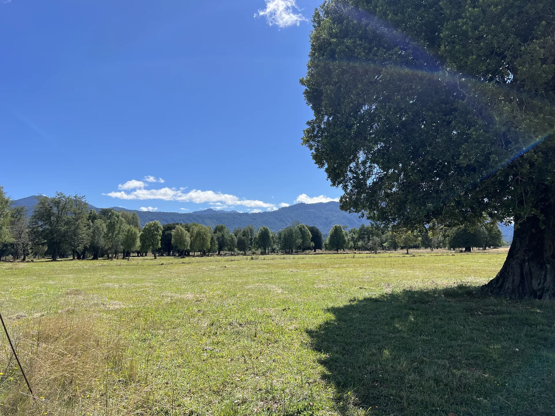 Parcelas – Brisas de Pucón