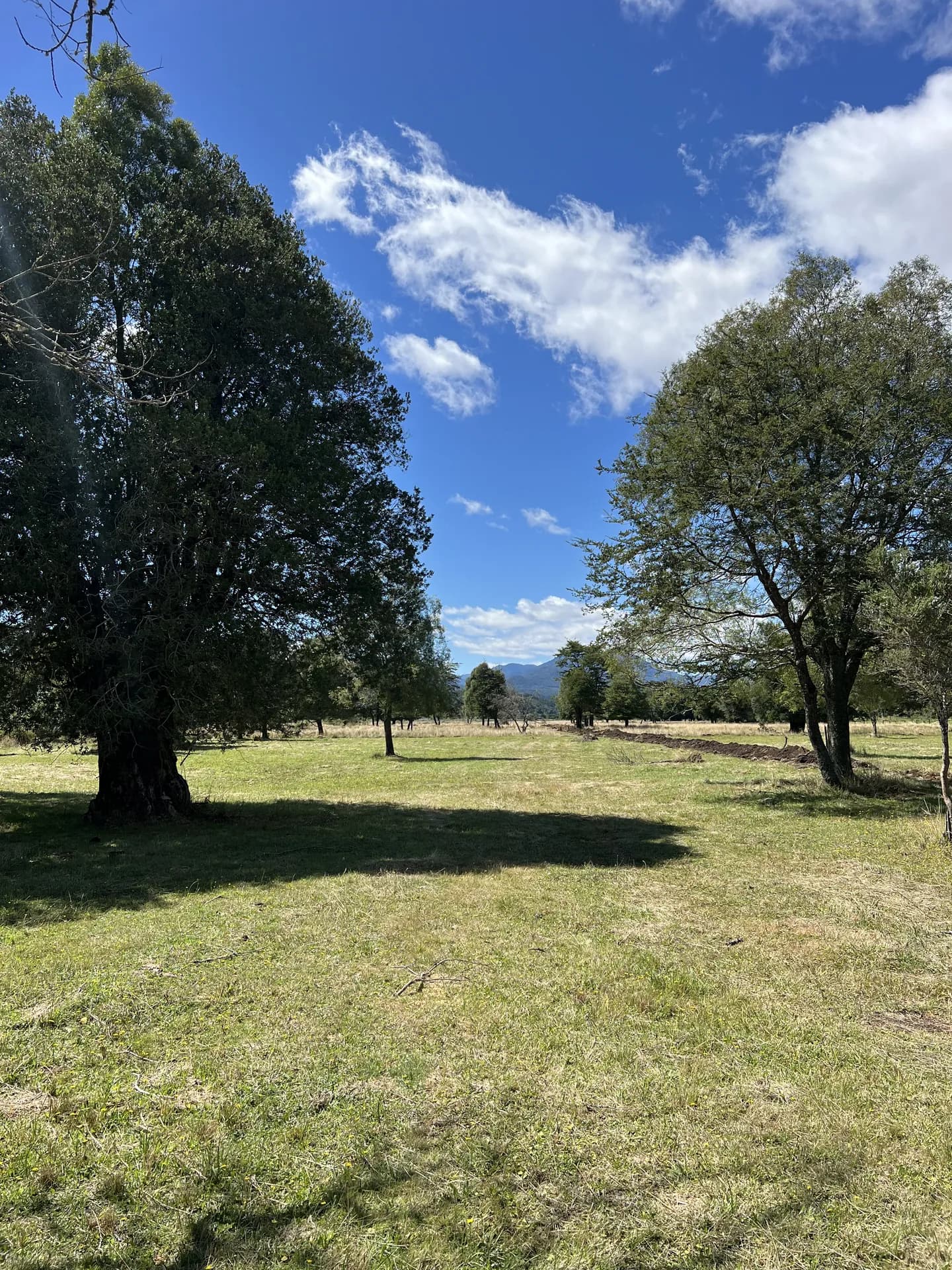 Parcelas – Brisas de Pucón