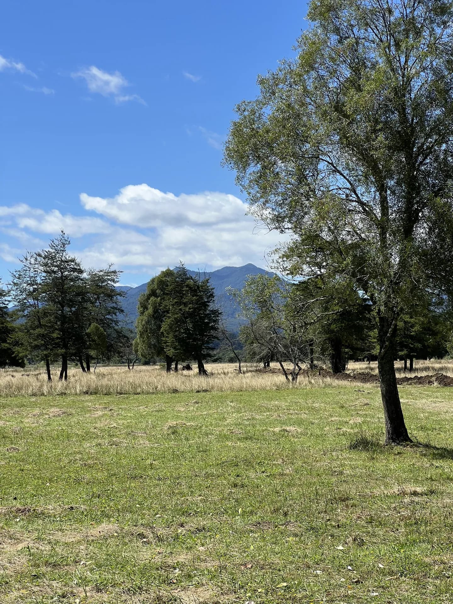 Parcelas – Brisas de Pucón